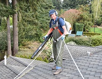 roof cleaning monroe